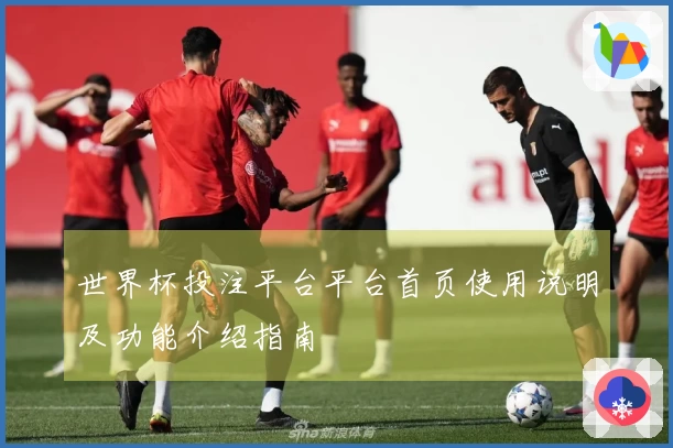 世界杯投注平台平台首页使用说明及功能介绍指南