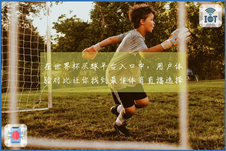 在世界杯买球平台入口中，用户体验对比让你找到最佳体育直播选择