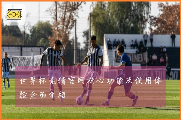 世界杯竞猜官网核心功能及使用体验全面介绍
