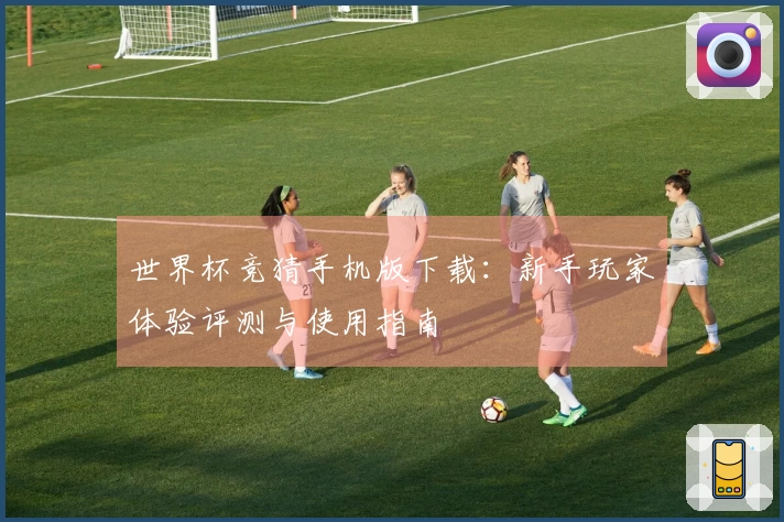 世界杯竞猜手机版下载：新手玩家体验评测与使用指南