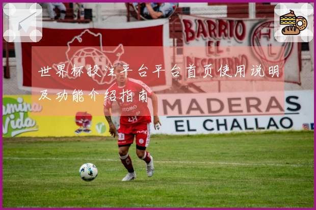 世界杯投注平台平台首页使用说明及功能介绍指南
